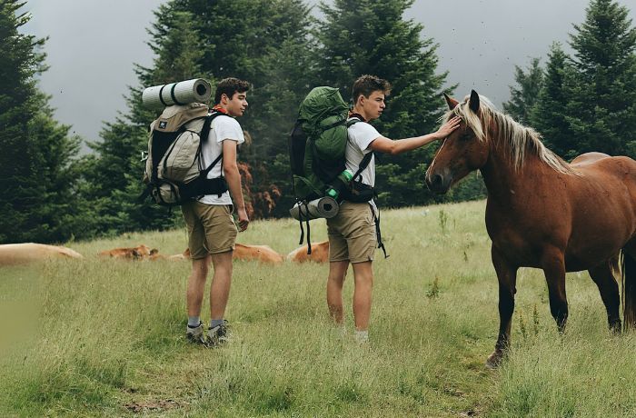 Zwei Männer mit Wanderrucksäcken streicheln Pferde auf einer grünen Wiese – Symbol für achtsame Teambegegnung. 