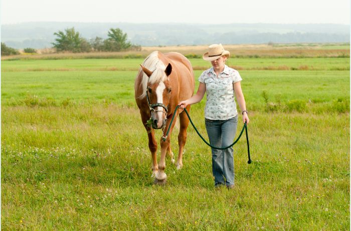 Frau führt ein Pferd über eine Wiese – Symbol für Achtsamkeit, Führungsbewusstsein und nonverbale Kommunikation in der Natur. 