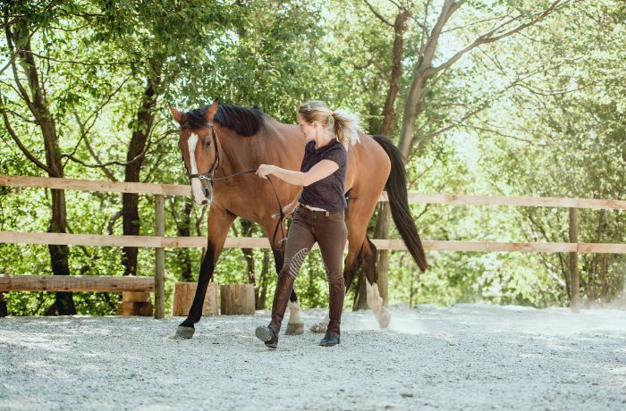 Frau führt ein Pferd achtsam über einen sonnigen Reitplatz – Symbol für Führung durch Verbindung. 
