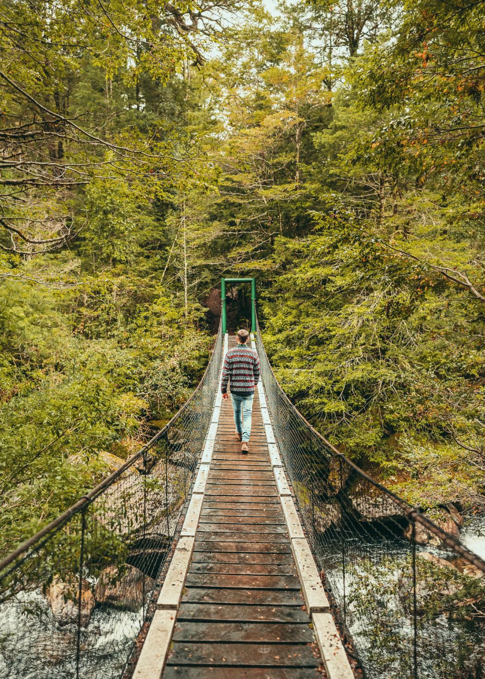 Eine Person überquert allein eine Hängebrücke inmitten eines dichten Waldes – Sinnbild für Übergänge, Unsicherheit und persönliche Entwicklung im Change-Prozess. 